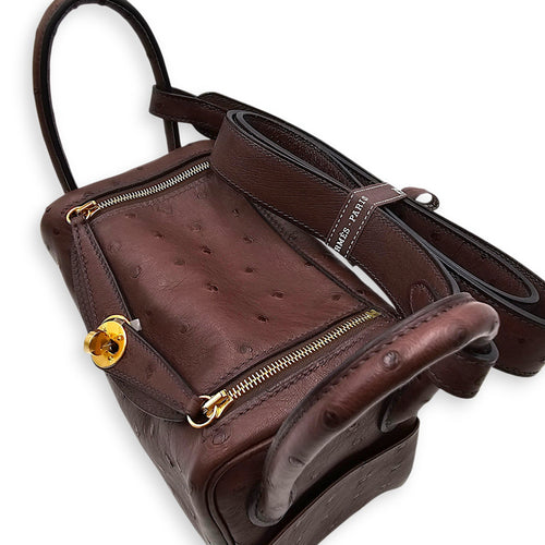 Lindy Mini Rouge Sellier in Ostrich Gold hardware CL2604-21089 7