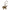 Pegasus PM Etoupe Bag Accessory in Swift CL2605-21275 1