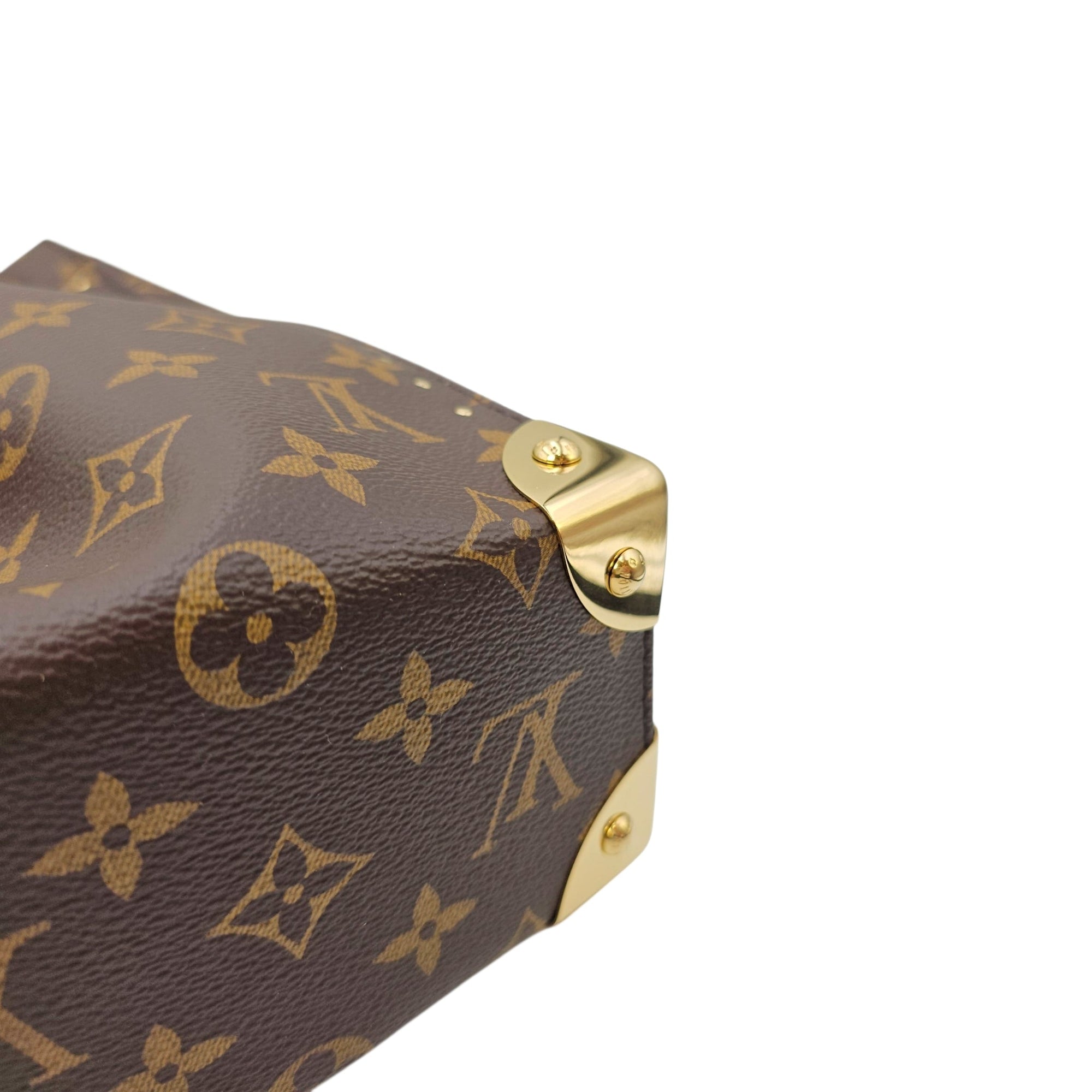 Noe Trunk PM Brown Shoulder Bag in Monogram Coated Canvas Gold hardware CL2605-21302 7