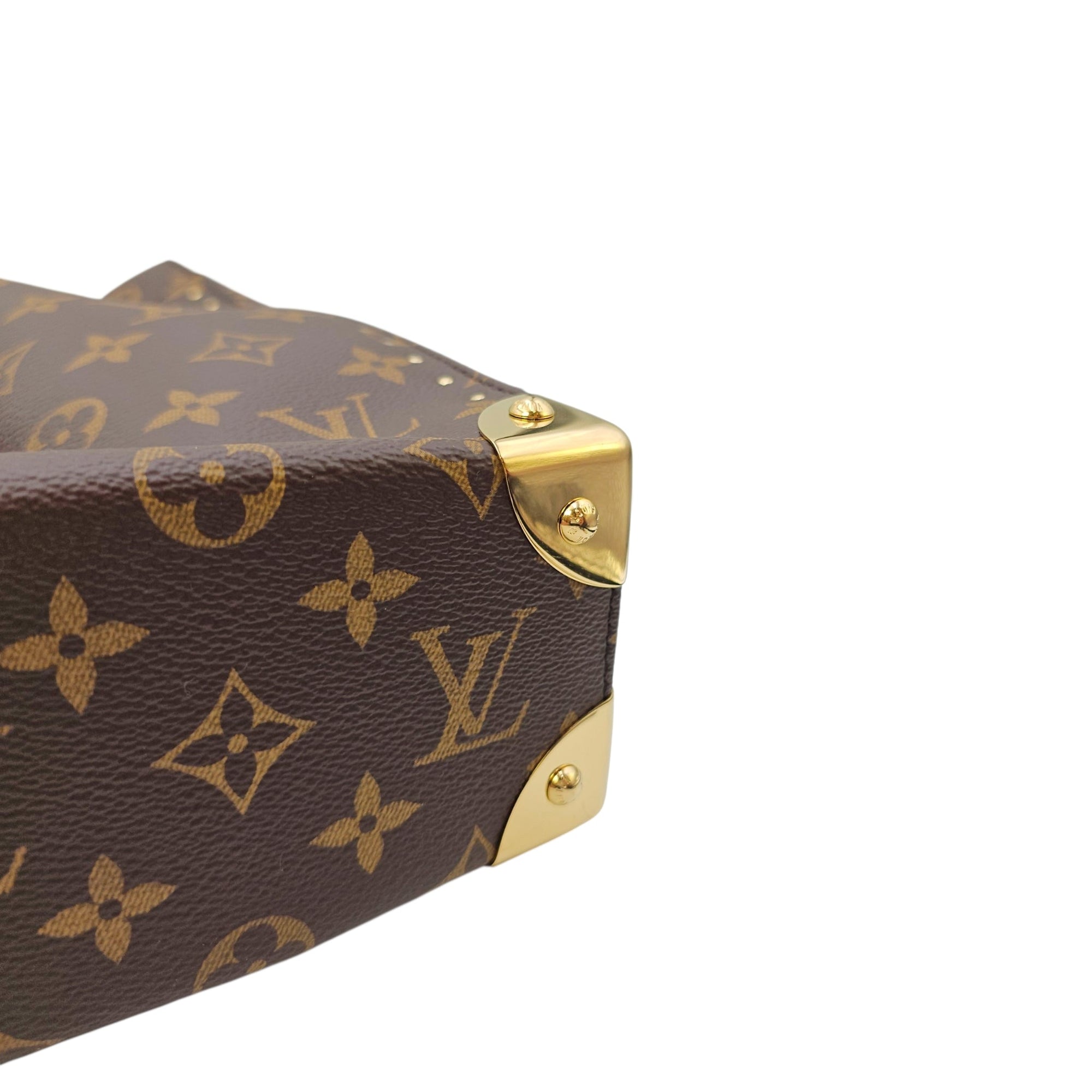 Noe Trunk PM Brown Shoulder Bag in Monogram Coated Canvas Gold hardware CL2605-21302 8