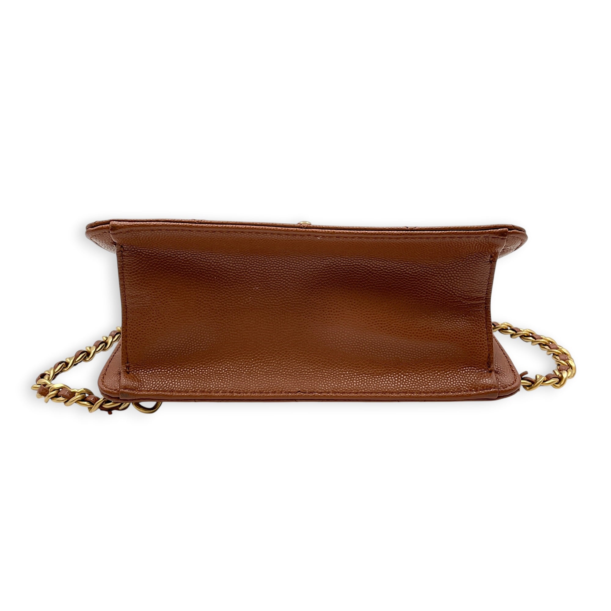 Seasonal Brown Backpack in Caviar Leather Gold hardware CL2605-21322 5