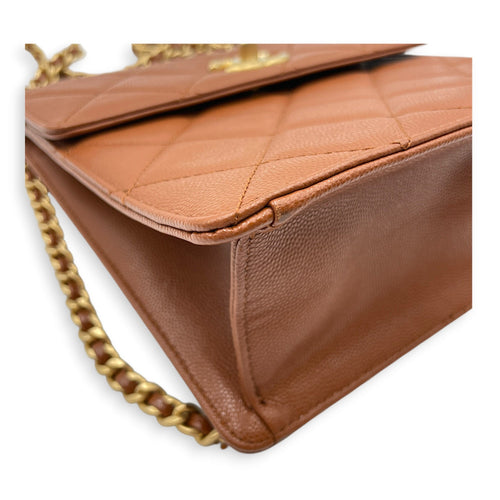 Seasonal Brown Backpack in Caviar Leather Gold hardware CL2605-21322 8