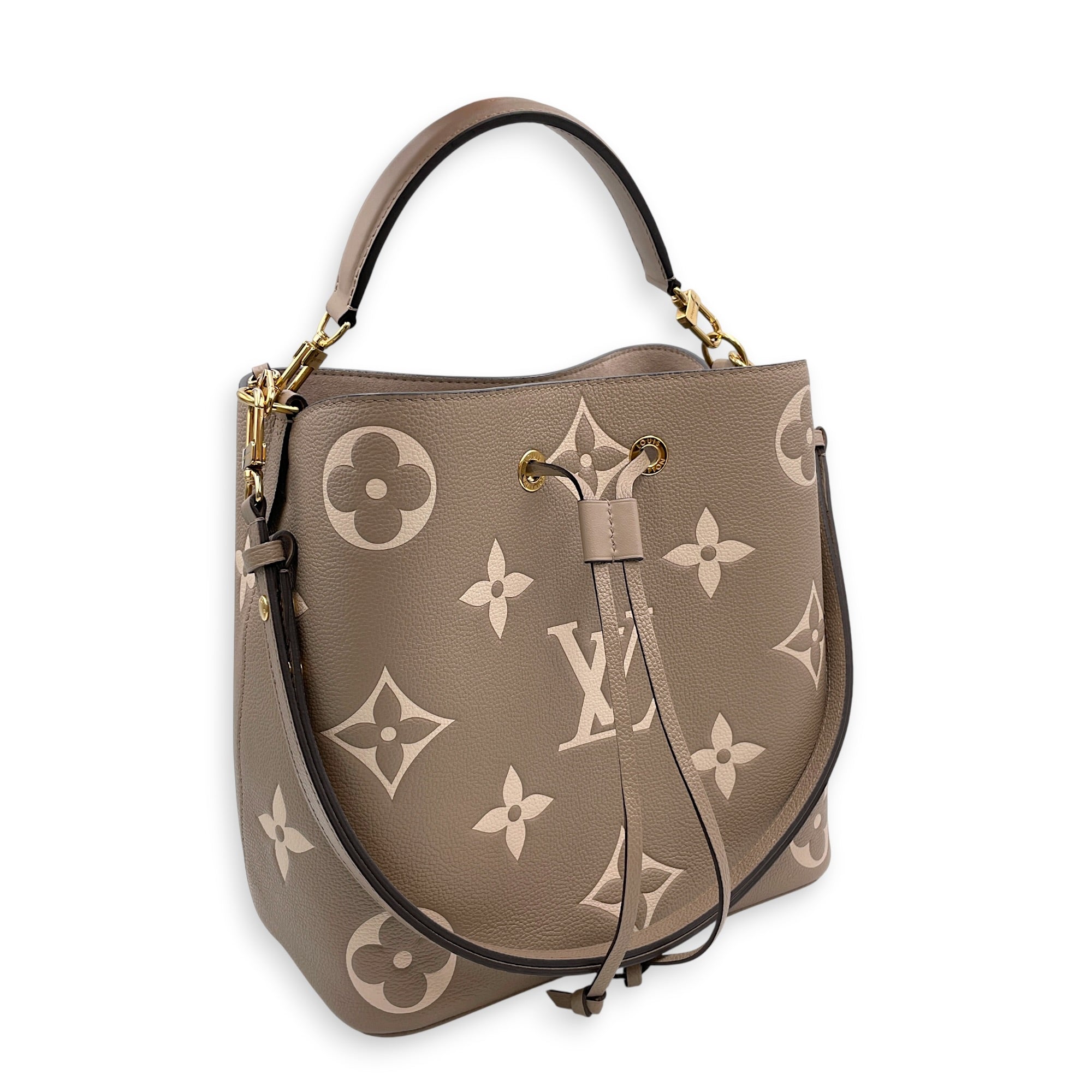 NeoNoe MM Brown Bucket Bag in Empreinte Leather