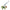 Rodeo PM Vert Criquet Bag Accessory in Swift CL2605-21466 1
