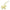 Pegasus PM Jaune Milton Bag Accessory in Swift CL2605-21467 1