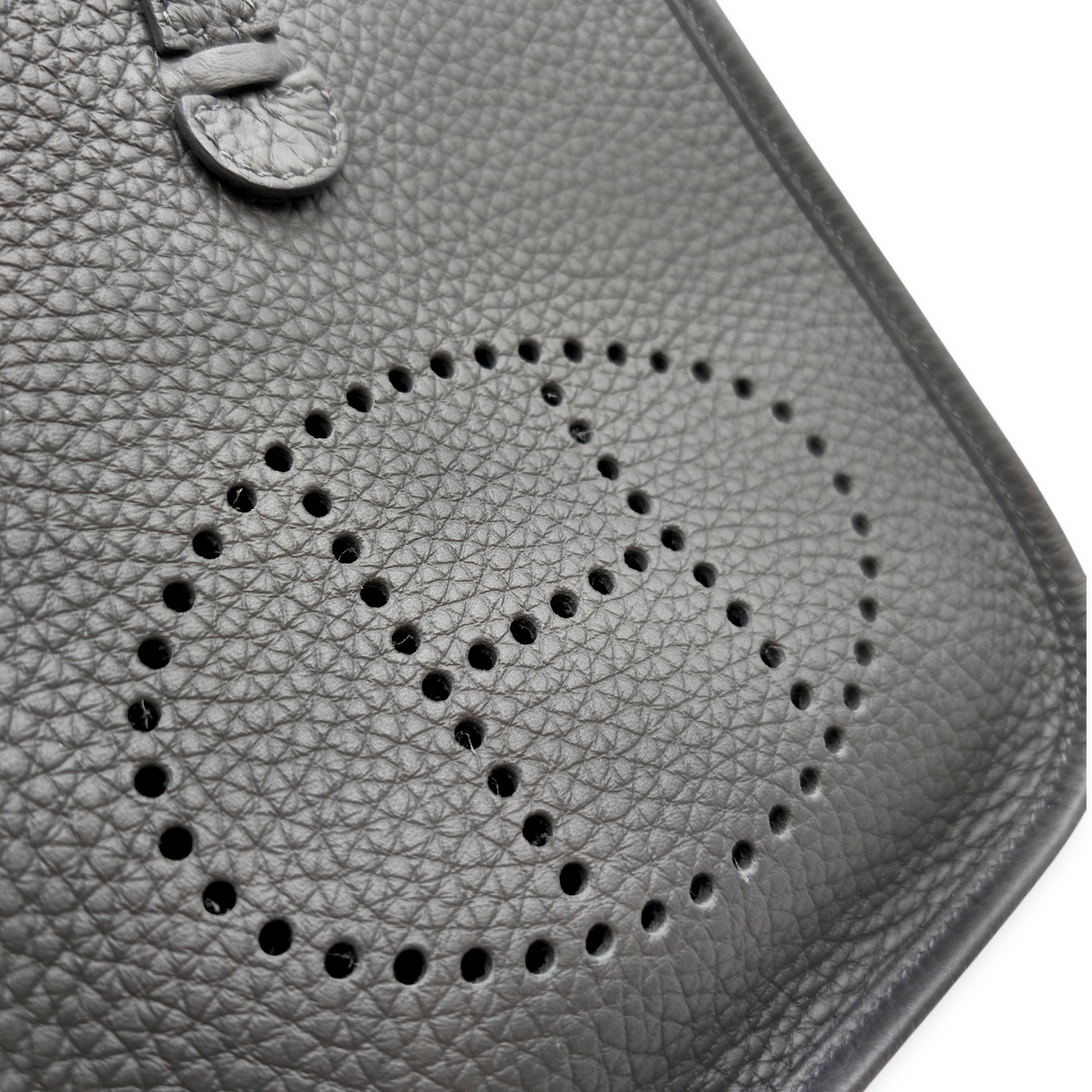 Evelyne Mini Ardoise in Clemence Palladium hardware