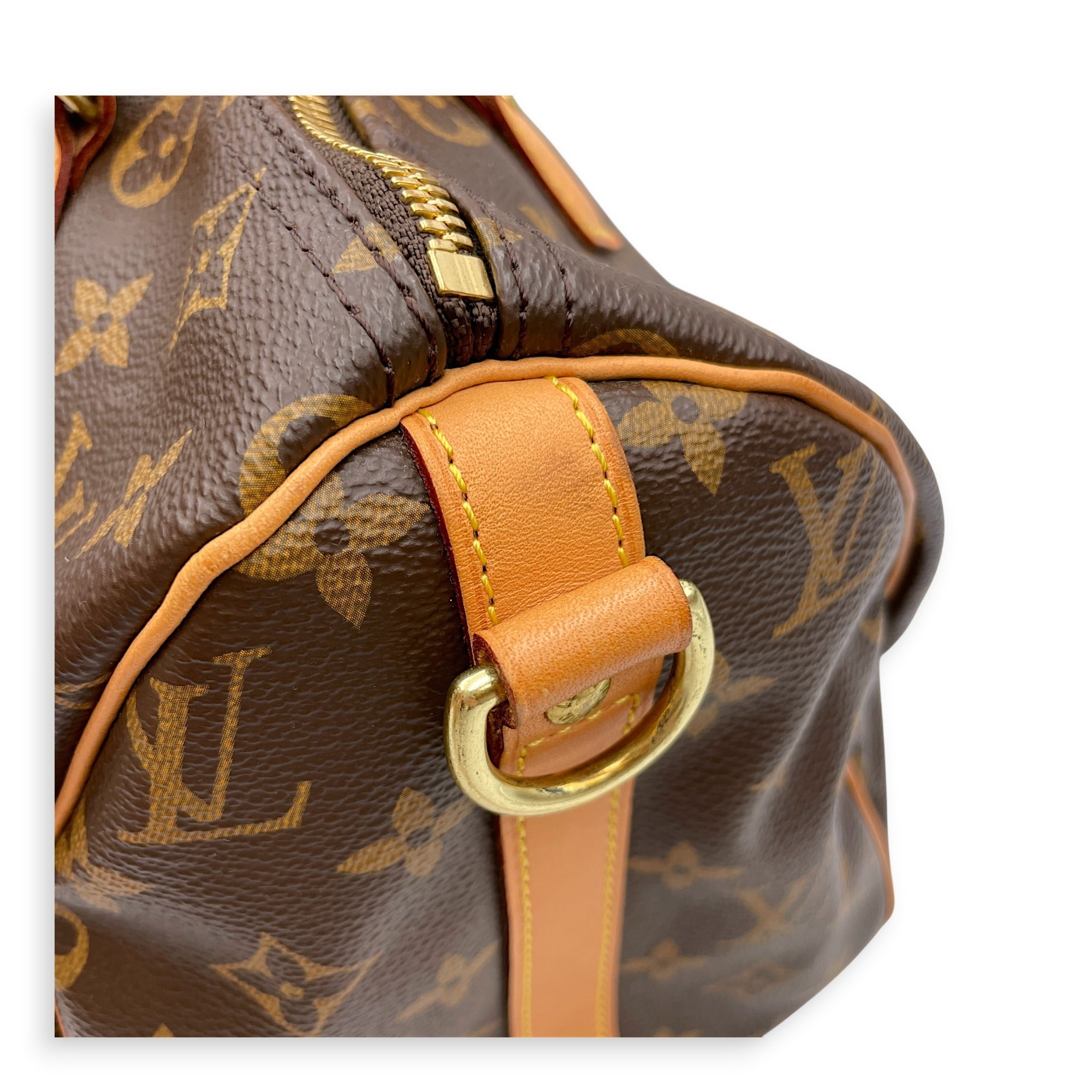 Speedy Brown Top Handle Bag in Canvas Gold hardware CL2605-21574 12