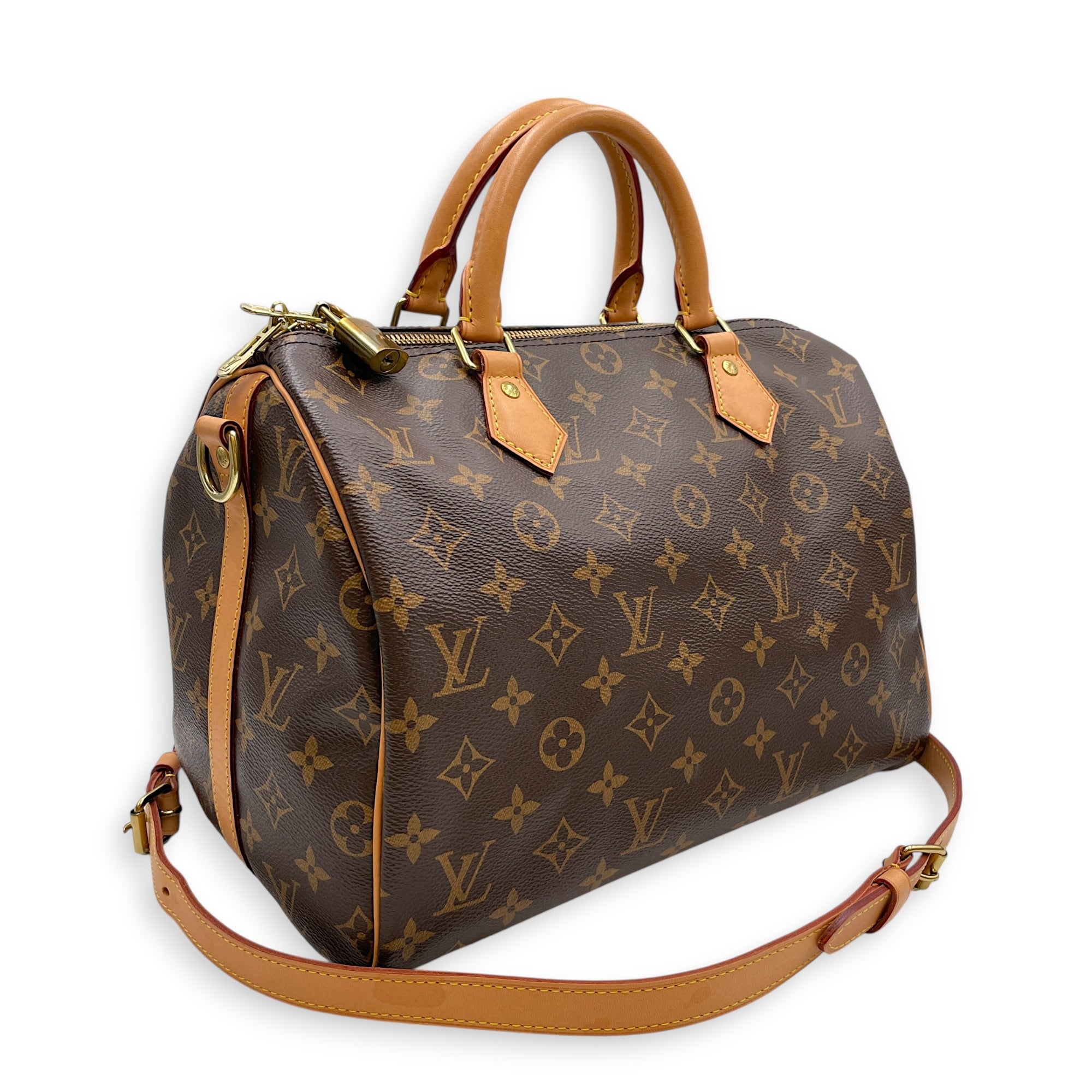 Speedy Brown Top Handle Bag in Canvas Gold hardware CL2605-21574 15