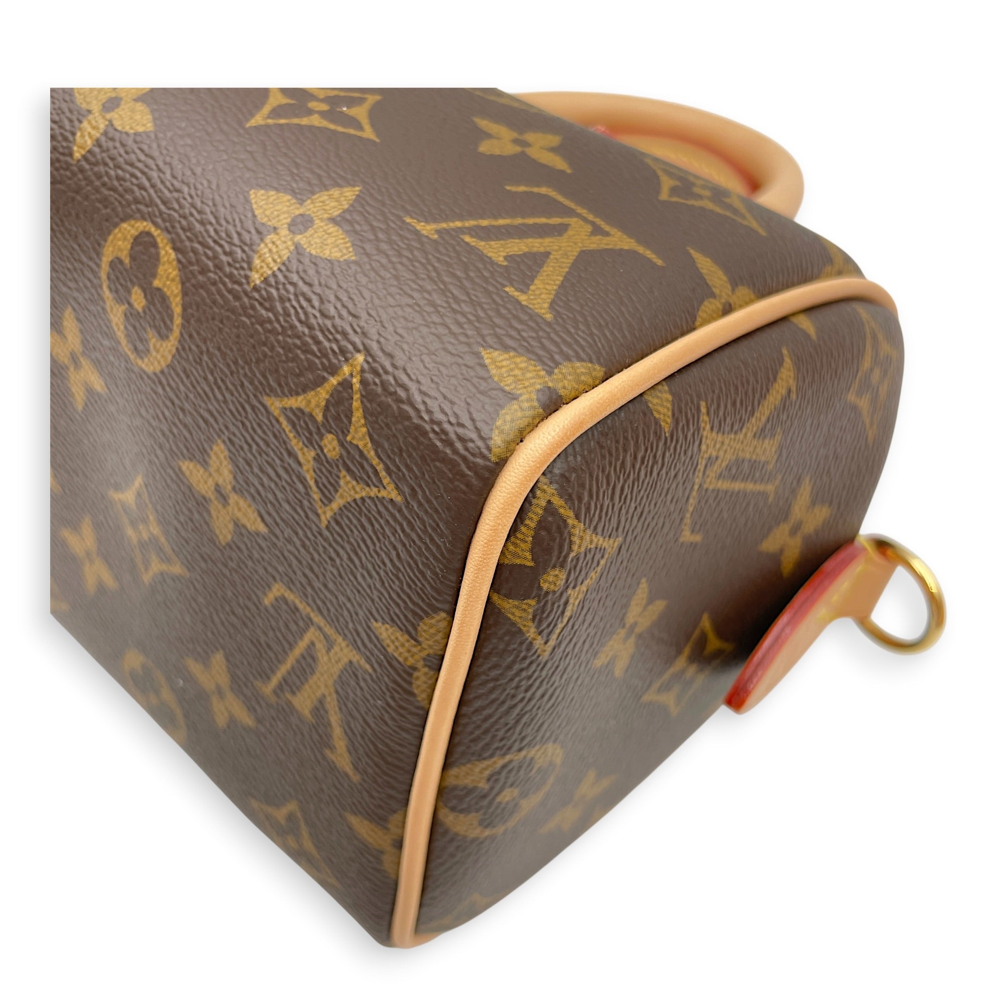 Monogram speedy 20 cm Brown Crossbody Bag in Canvas Gold hardware