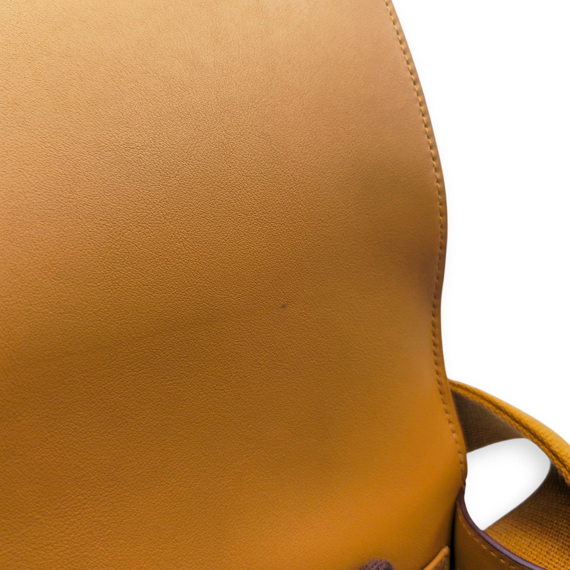 Geta Caramel in Chevre Mysore Gold hardware CL2605-21651 7