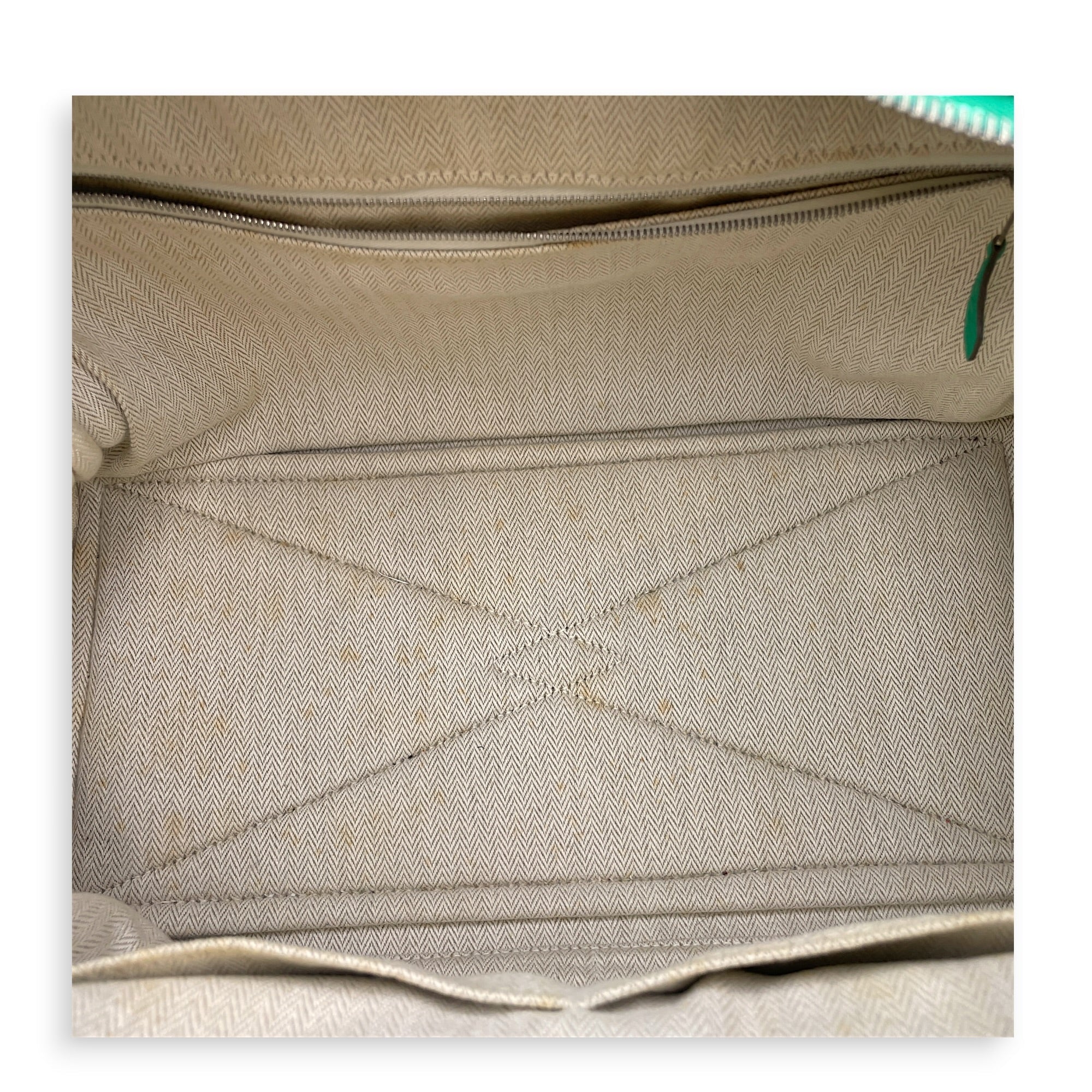 Victoria II 35 Menthe in Clemence Palladium hardware CL2606-21955 6
