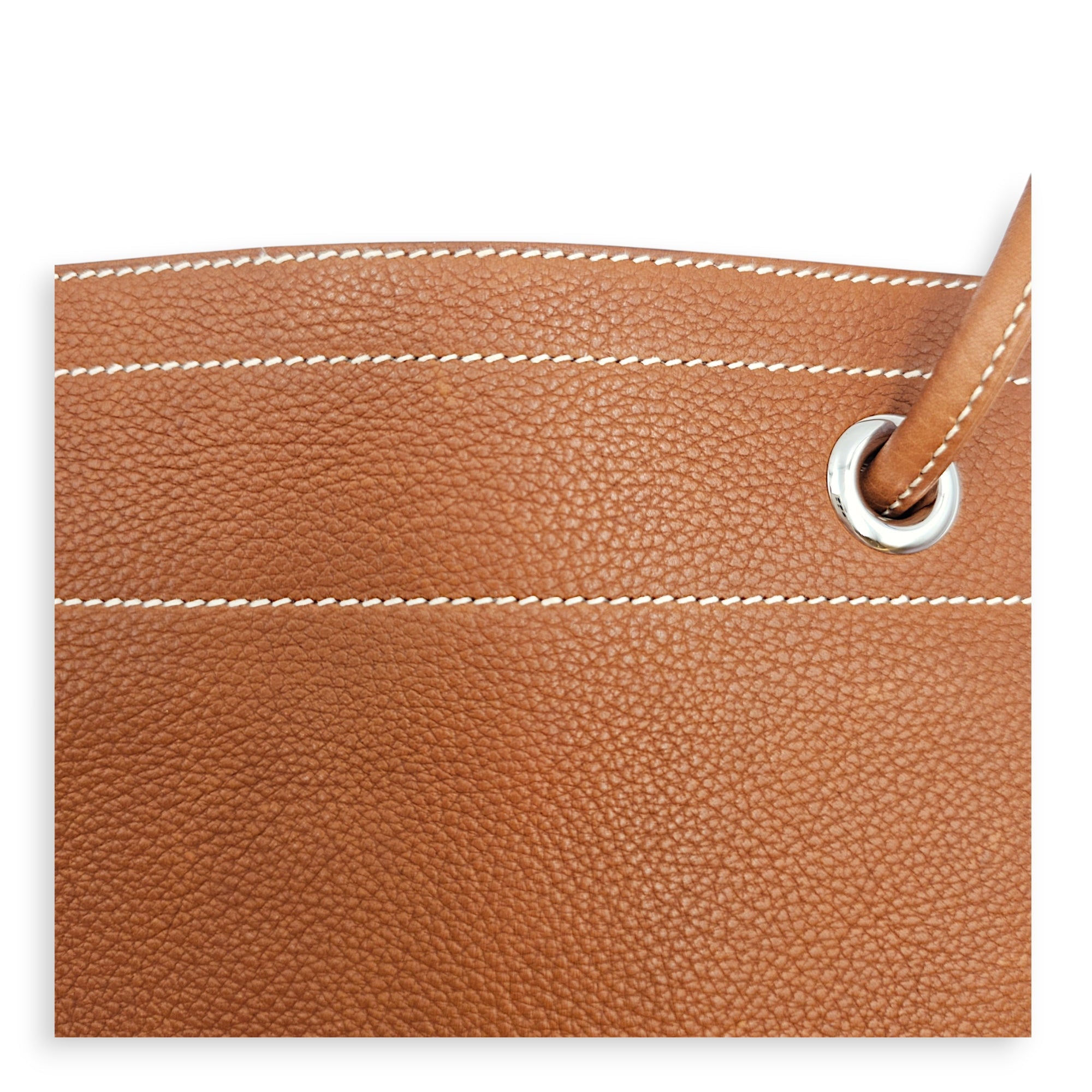 Aline Mini Fauve in Barenia Faubourg Palladium hardware CL2606-22024 10