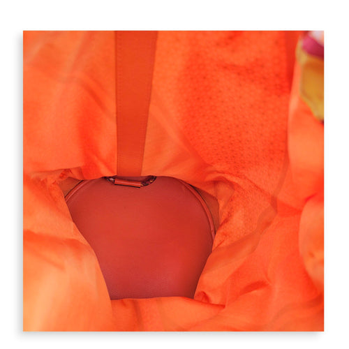 Silk Cool 22 Orange in Evercolor CL2606-22027 5