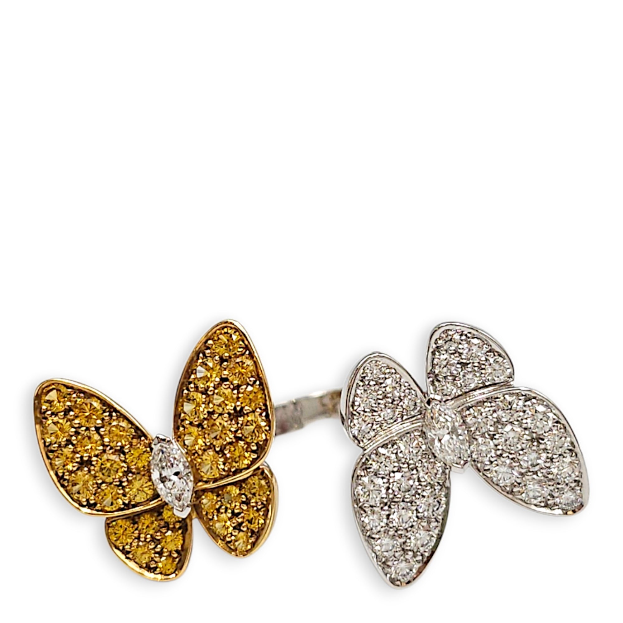 Two Butterfly Between 51 Between the Finder Ring CL2606-22071 2