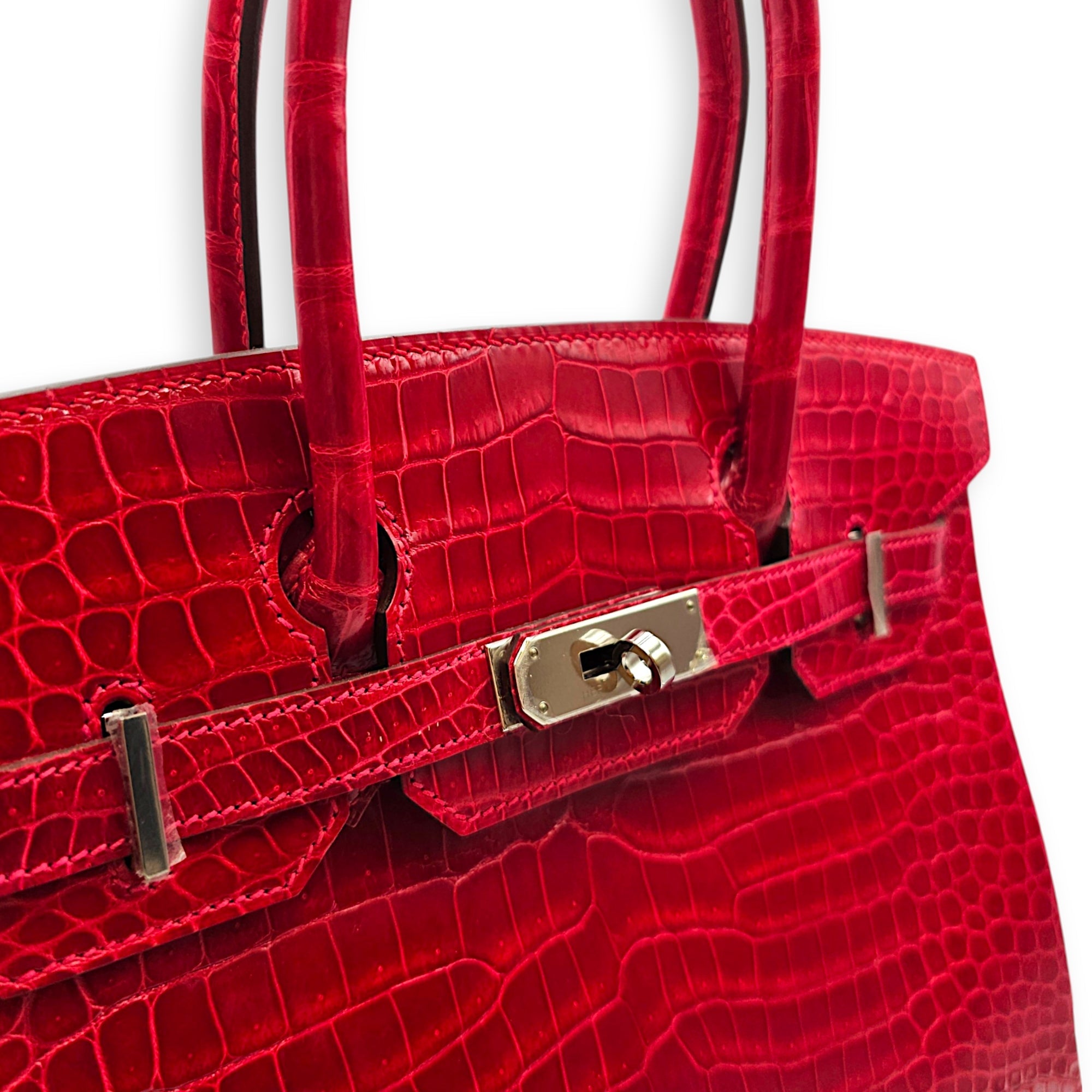 Birkin 30 Braise Top Handle Bag in Shiny Porosus Palladium hardware CL2607-22375 10