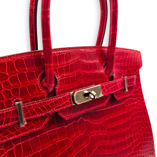 Birkin 30 Braise Top Handle Bag in Shiny Porosus Palladium hardware CL2607-22375 10