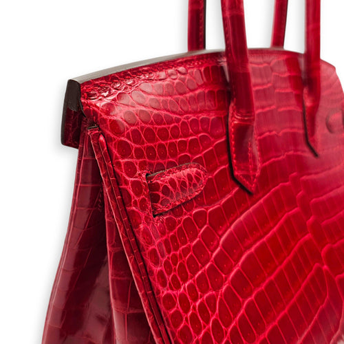 Birkin 30 Braise Top Handle Bag in Shiny Porosus Palladium hardware CL2607-22375 7