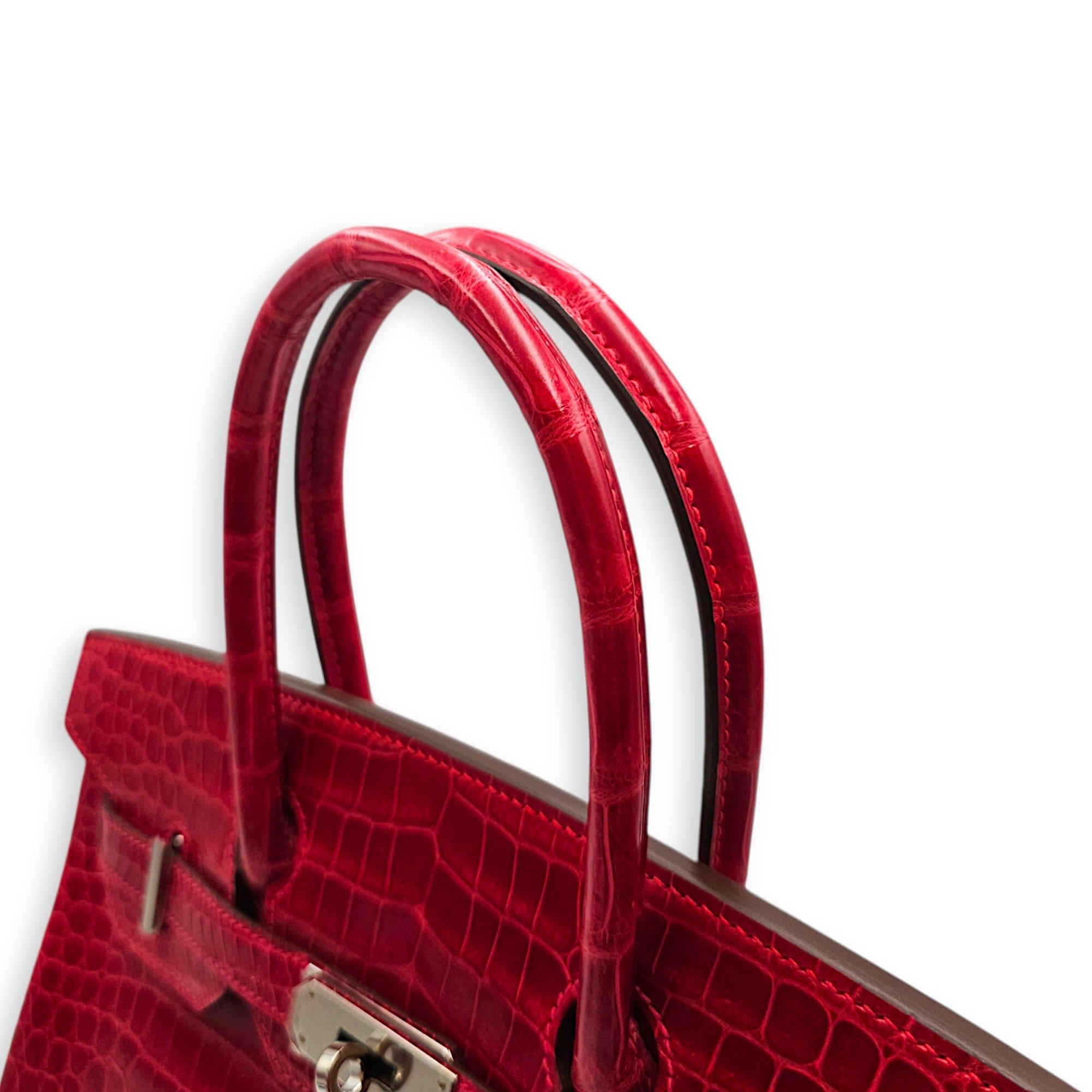 Birkin 30 Braise Top Handle Bag in Shiny Porosus Palladium hardware CL2607-22375 9