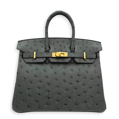 Birkin 25 Vert Amande in Ostrich Gold hardware CL2607-22417 1