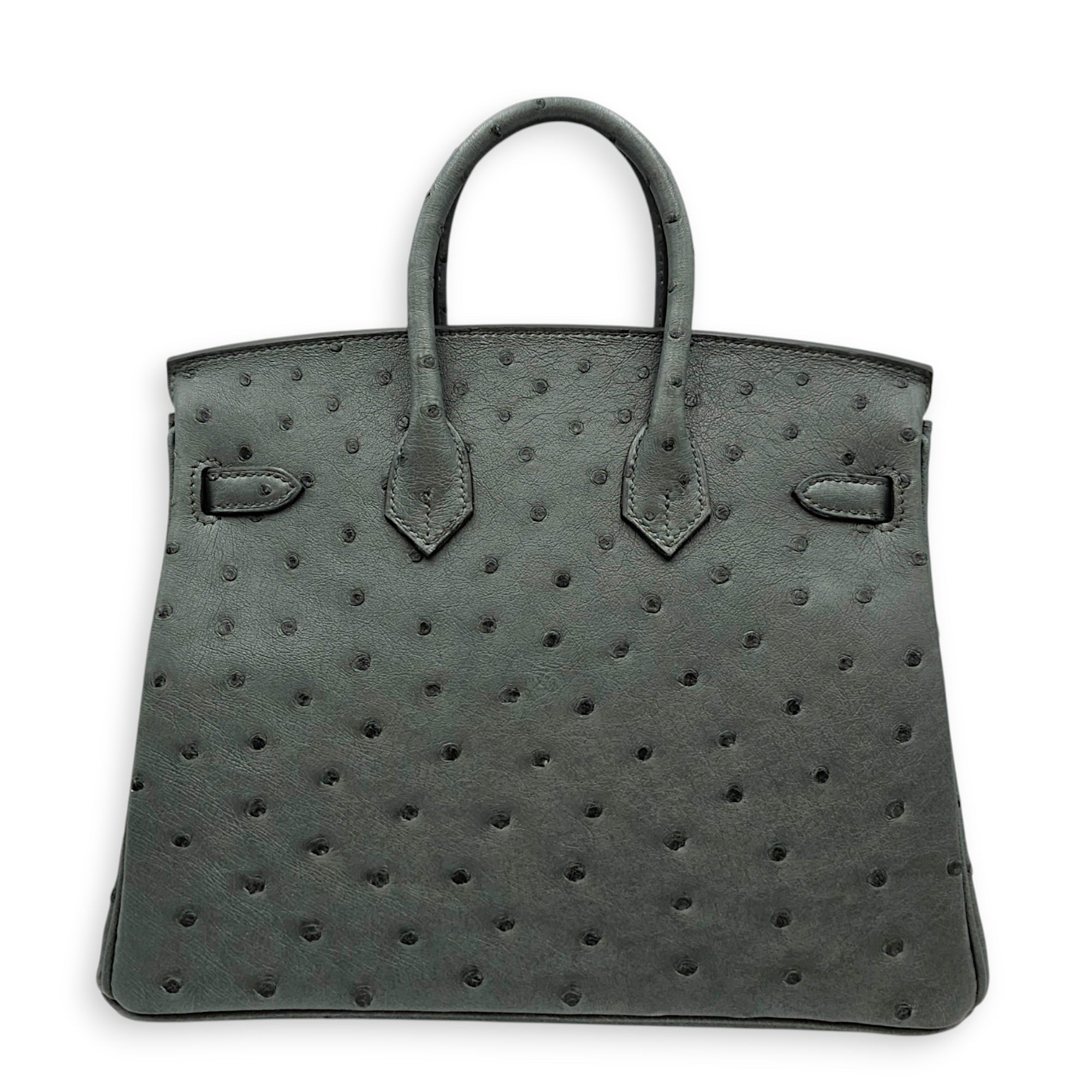 Birkin 25 Vert Amande in Ostrich Gold hardware CL2607-22417 2