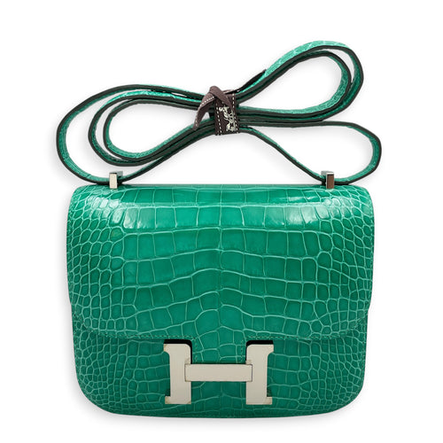 Constance Mirror 18 Vert Jade in Shiny Alligator Palladium hardware