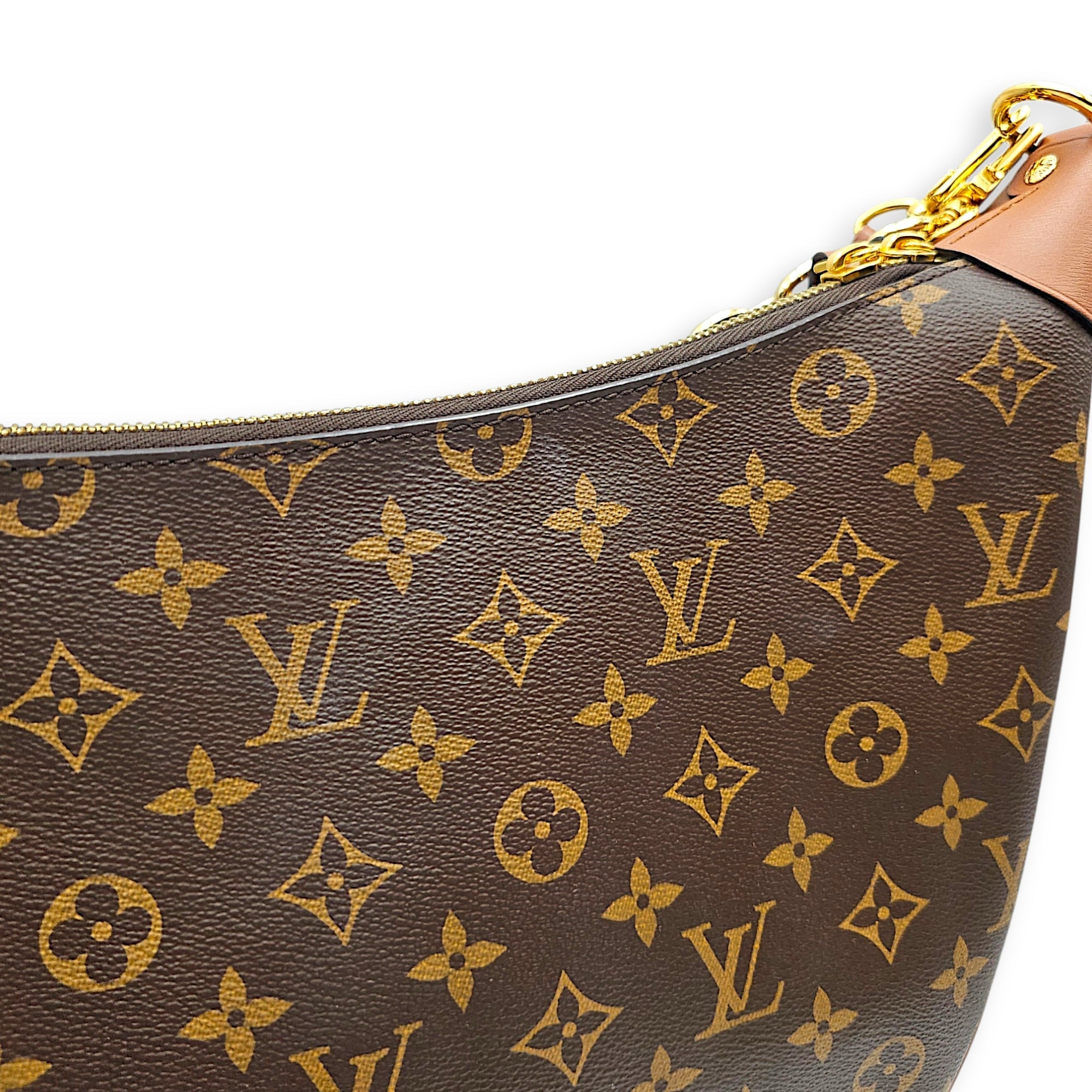 Loop Hobo 38cm Brown Crossbody Bag in Canvas Gold hardware CL2607-22558 7