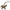 Pegasus PM Etoupe Bag Accessory in Swift CL2607-22584 1