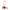 Budy A la Mer Charm Rouge H/Feu/Sesame/Sakura Bag Accessory in Swift CL2607-22594 1