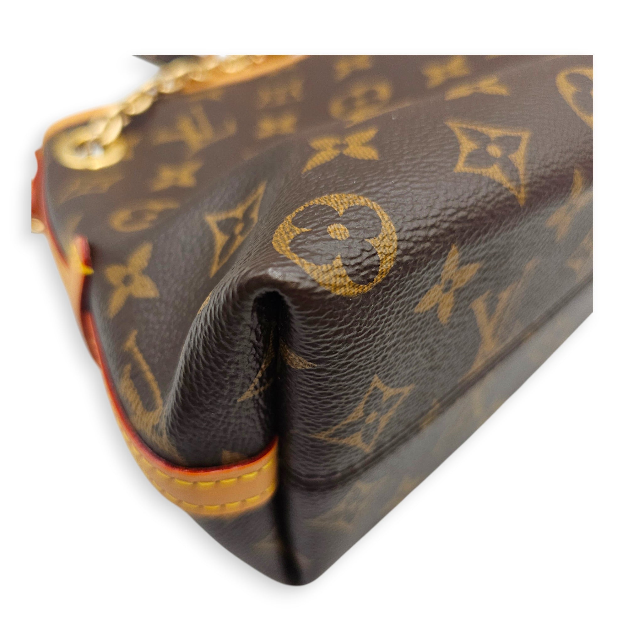 Monogram CarryAll BB 25cm Brown Crossbody Bag in Canvas Gold hardware CL2607-22611 8