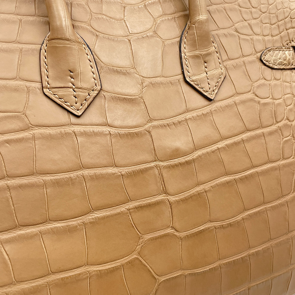 Birkin 25 Chai in Matte Alligator Palladium hardware