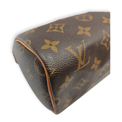Speedy Nano Brown Crossbody Bag in Canvas Gold hardware