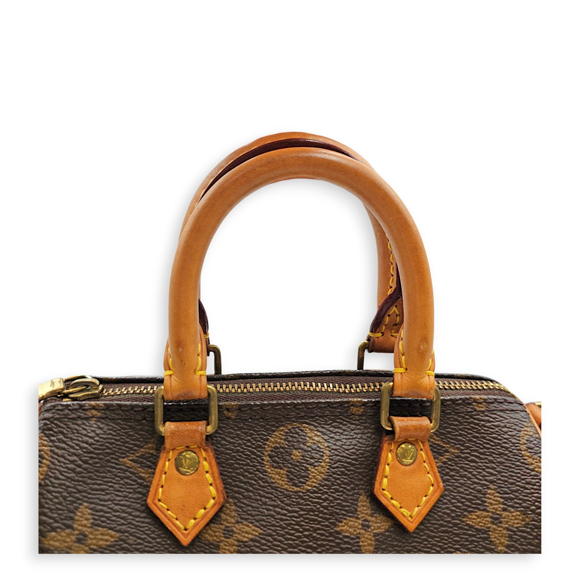 Speedy Nano Brown Crossbody Bag in Canvas Gold hardware
