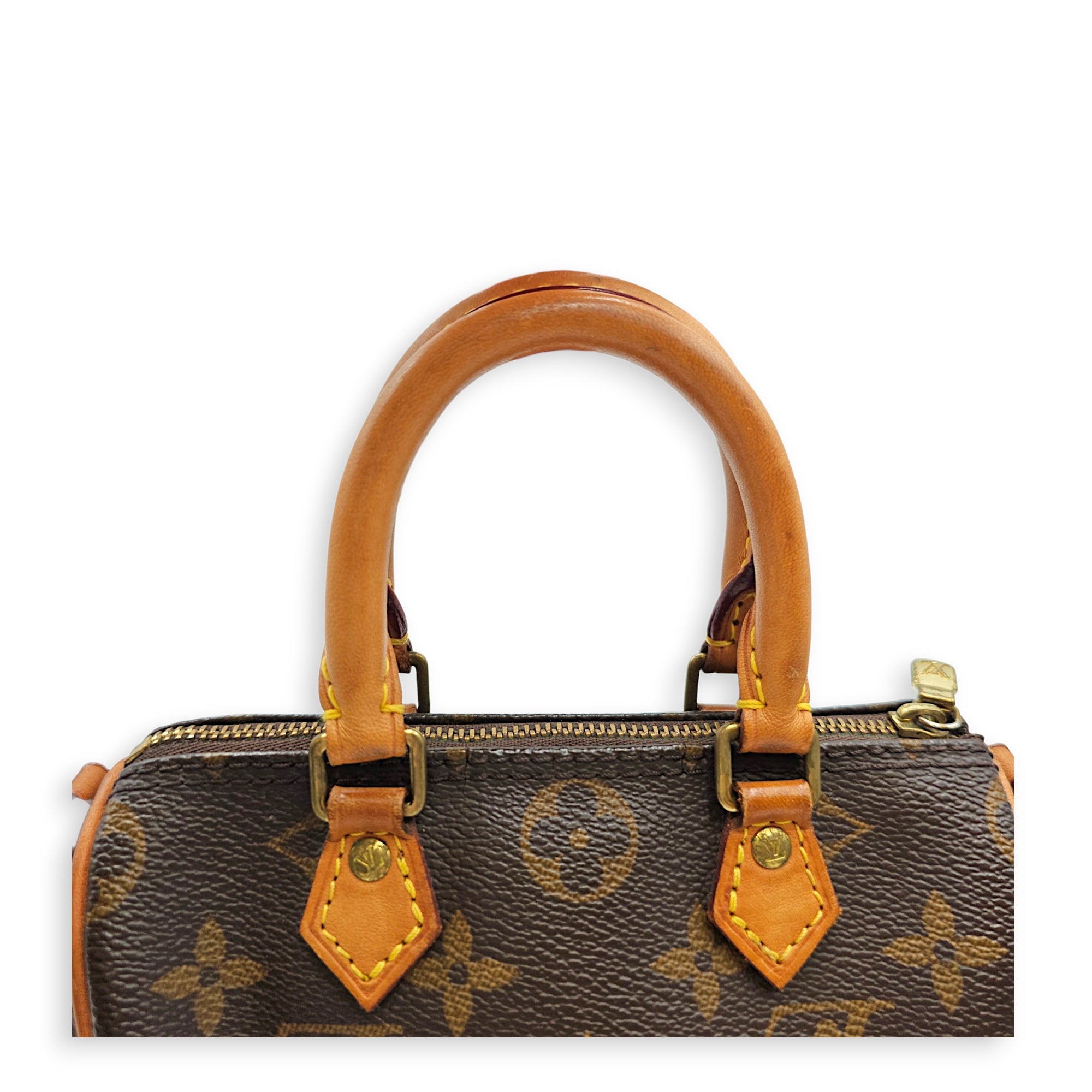 Speedy Nano Brown Crossbody Bag in Canvas Gold hardware