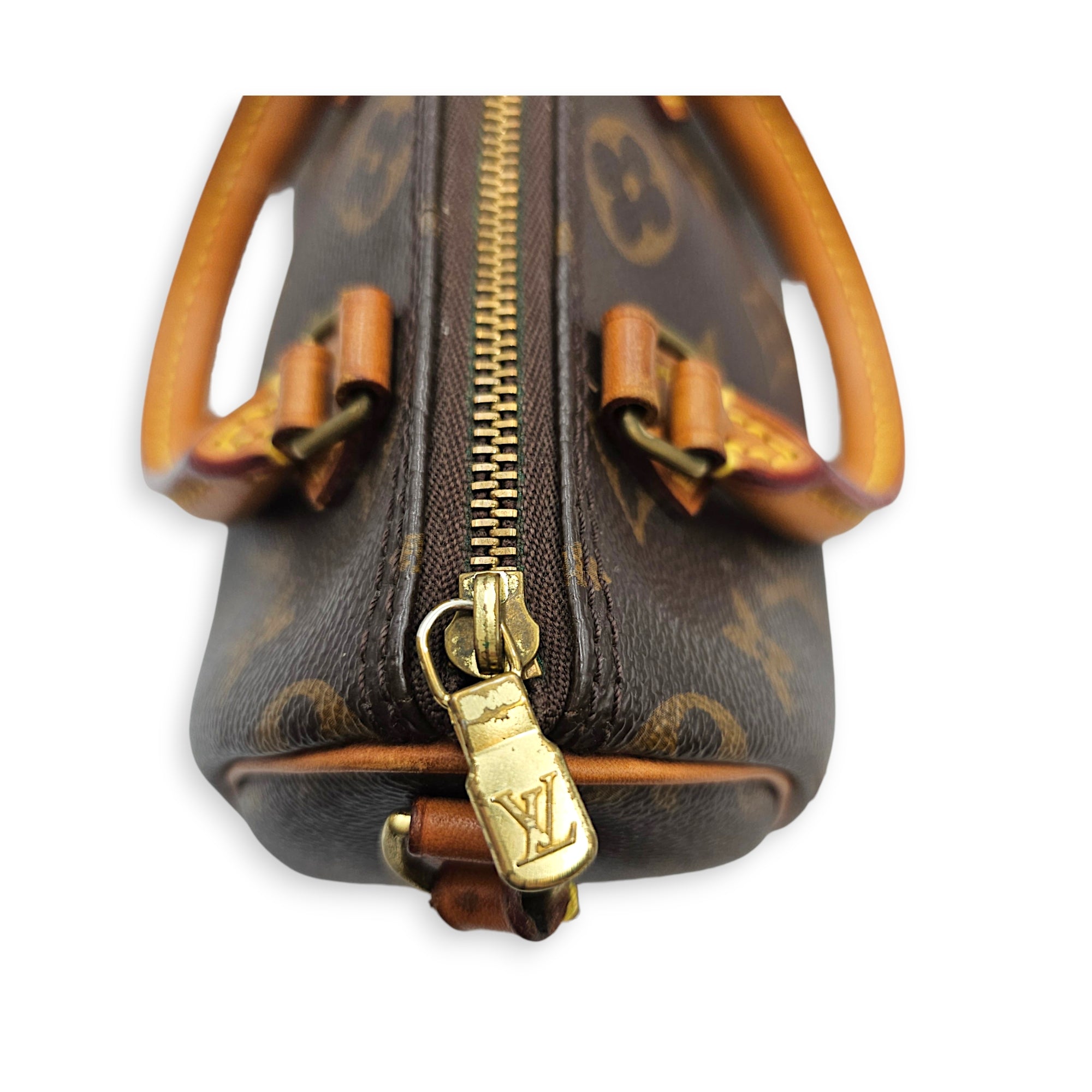 Speedy Nano Brown Crossbody Bag in Canvas Gold hardware