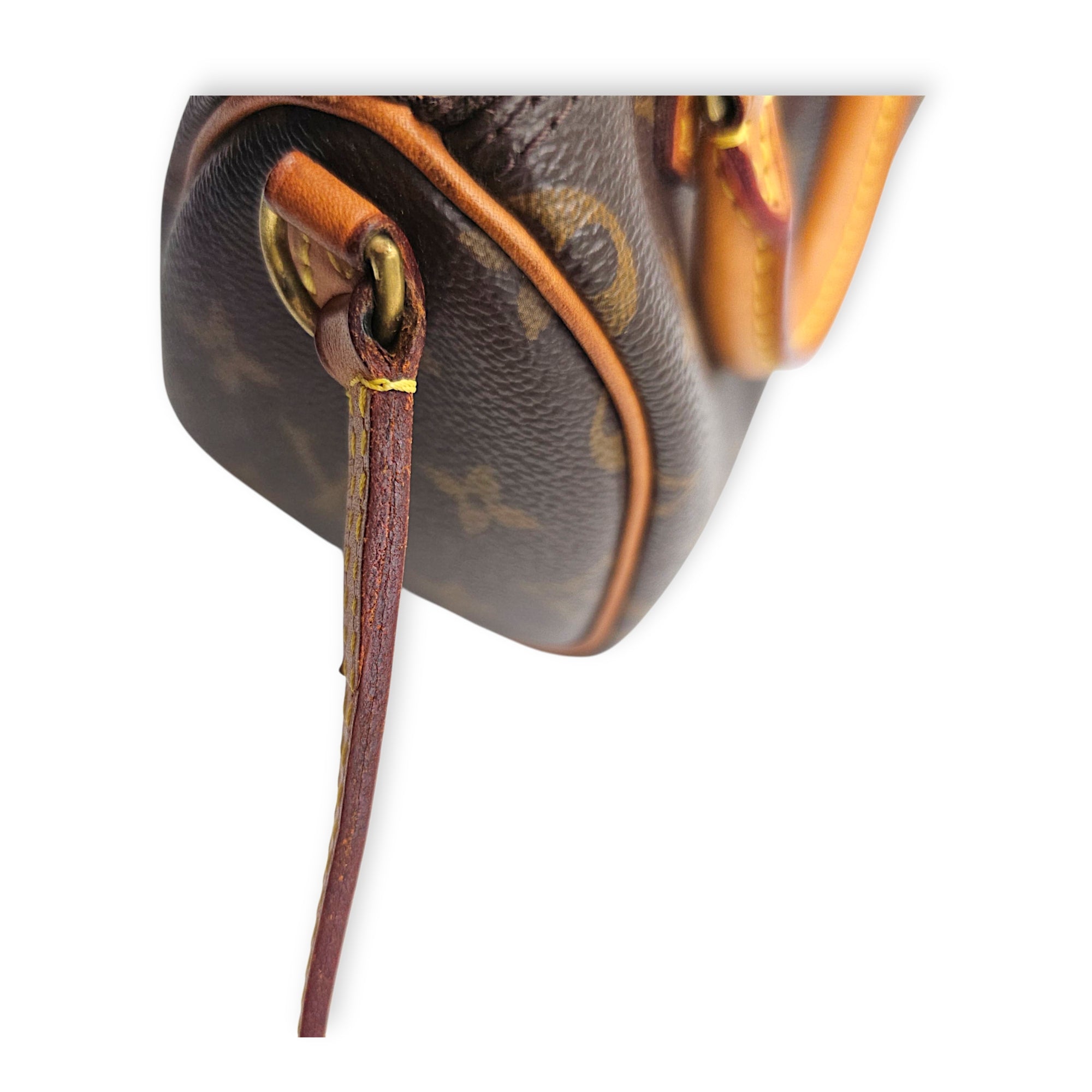 Speedy Nano Brown Crossbody Bag in Canvas Gold hardware
