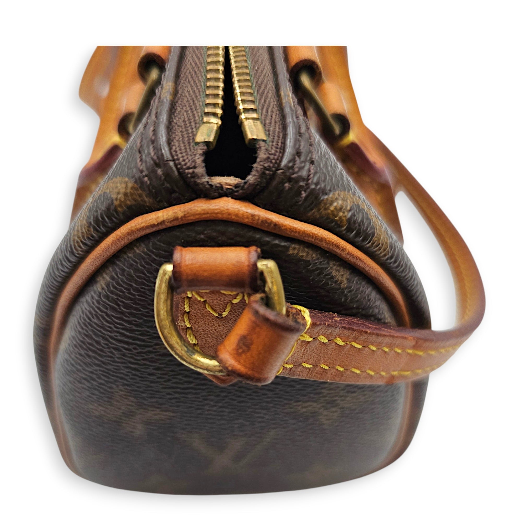 Speedy Nano Brown Crossbody Bag in Canvas Gold hardware