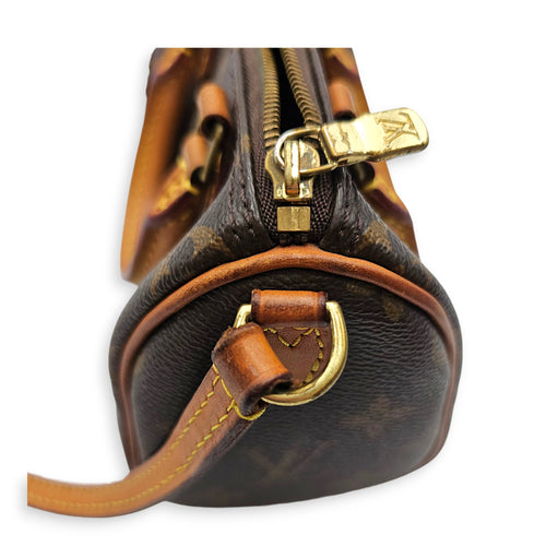 Speedy Nano Brown Crossbody Bag in Canvas Gold hardware
