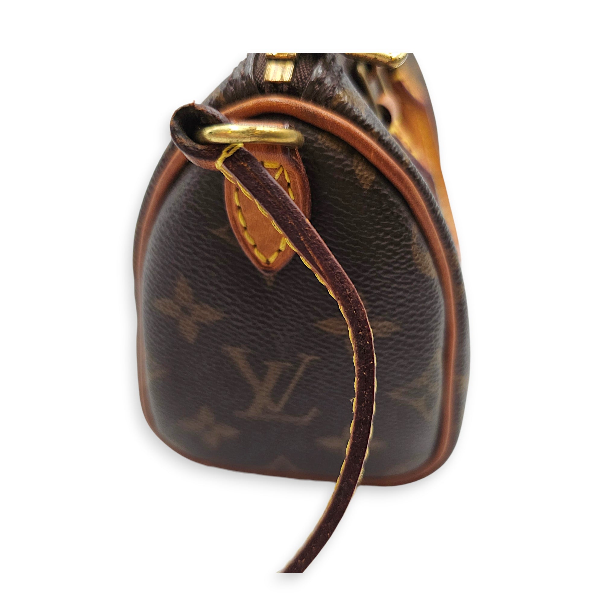 Speedy Nano Brown Crossbody Bag in Canvas Gold hardware