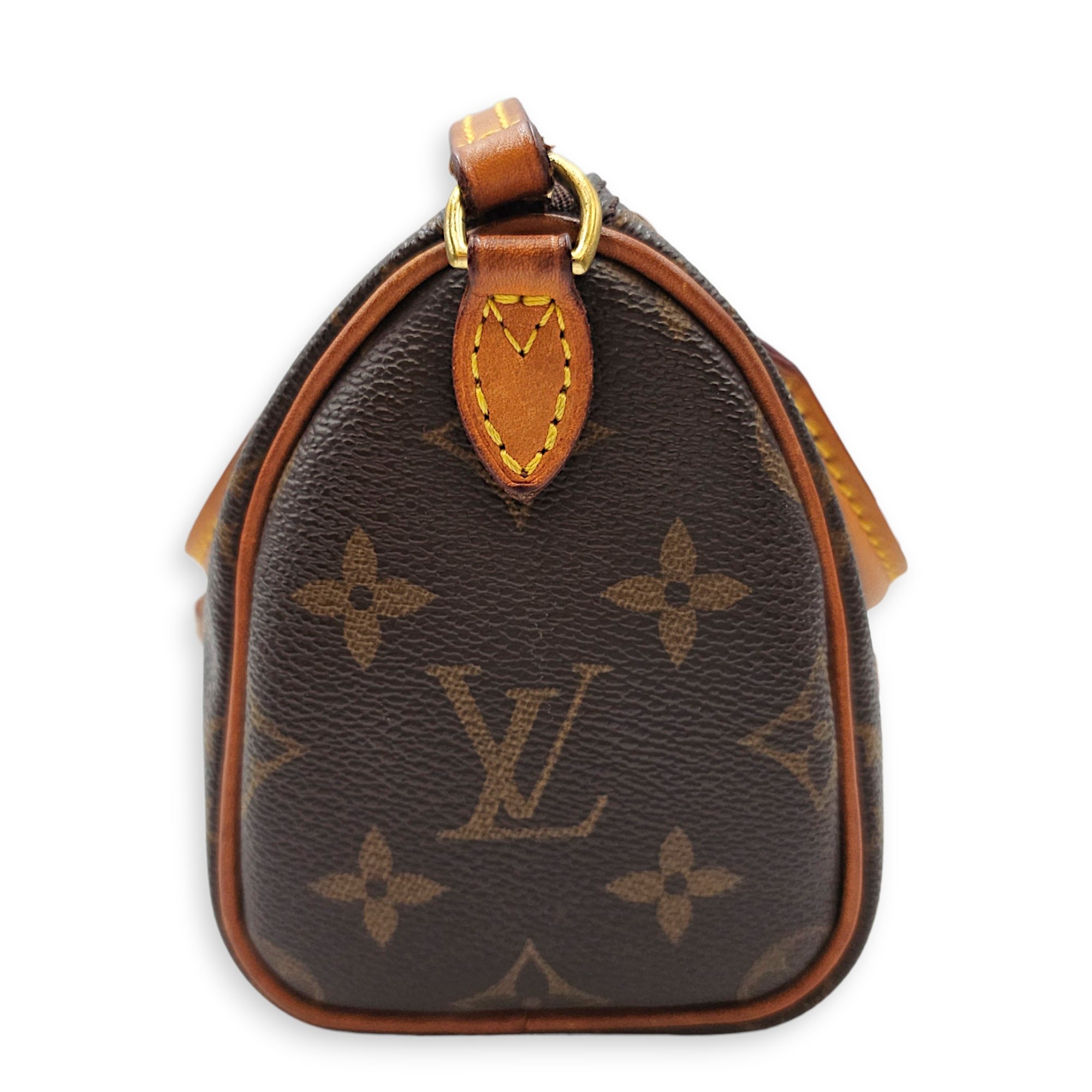 Speedy Nano Brown Crossbody Bag in Canvas Gold hardware