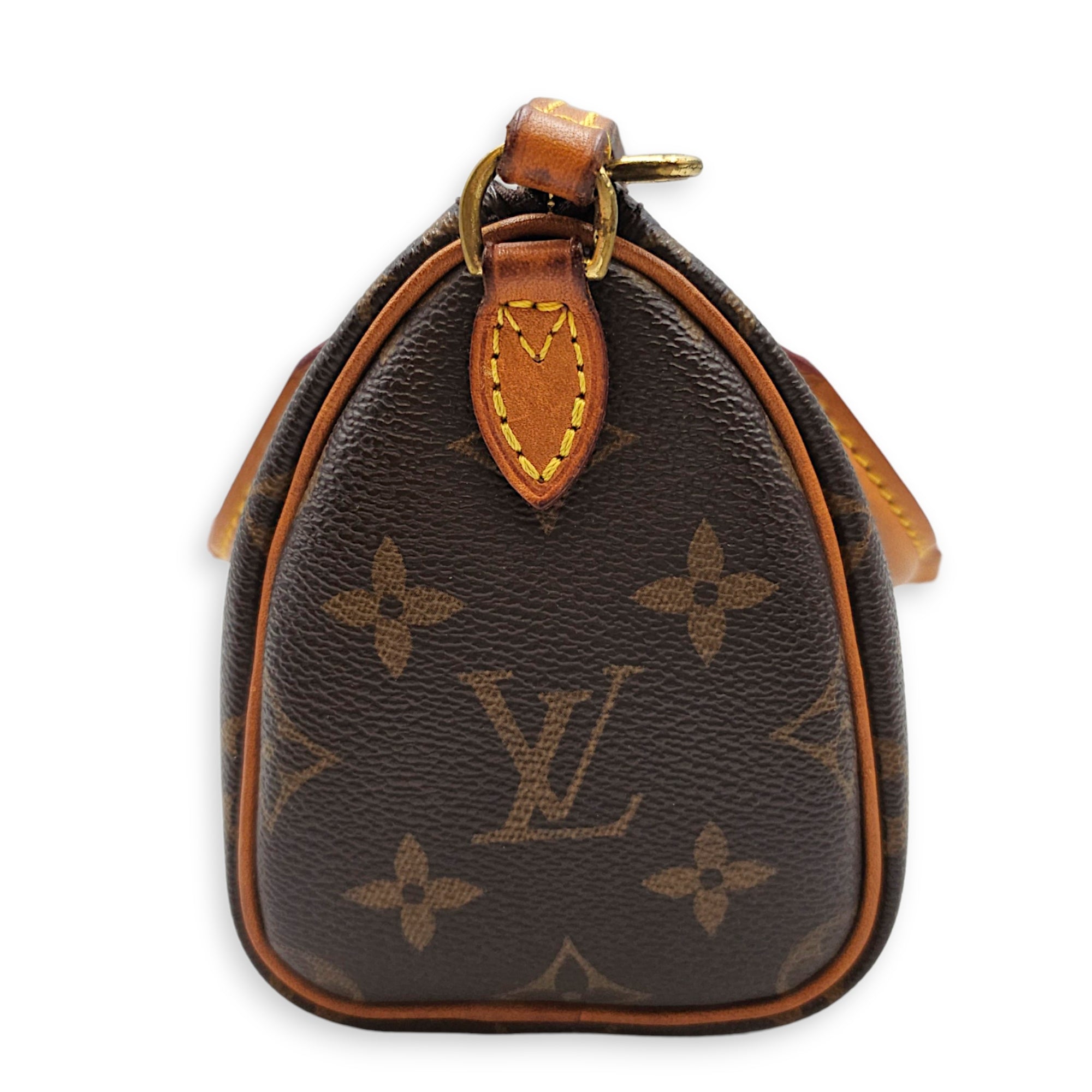 Speedy Nano Brown Crossbody Bag in Canvas Gold hardware