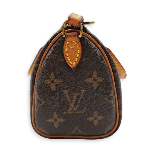 Speedy Nano Brown Crossbody Bag in Canvas Gold hardware