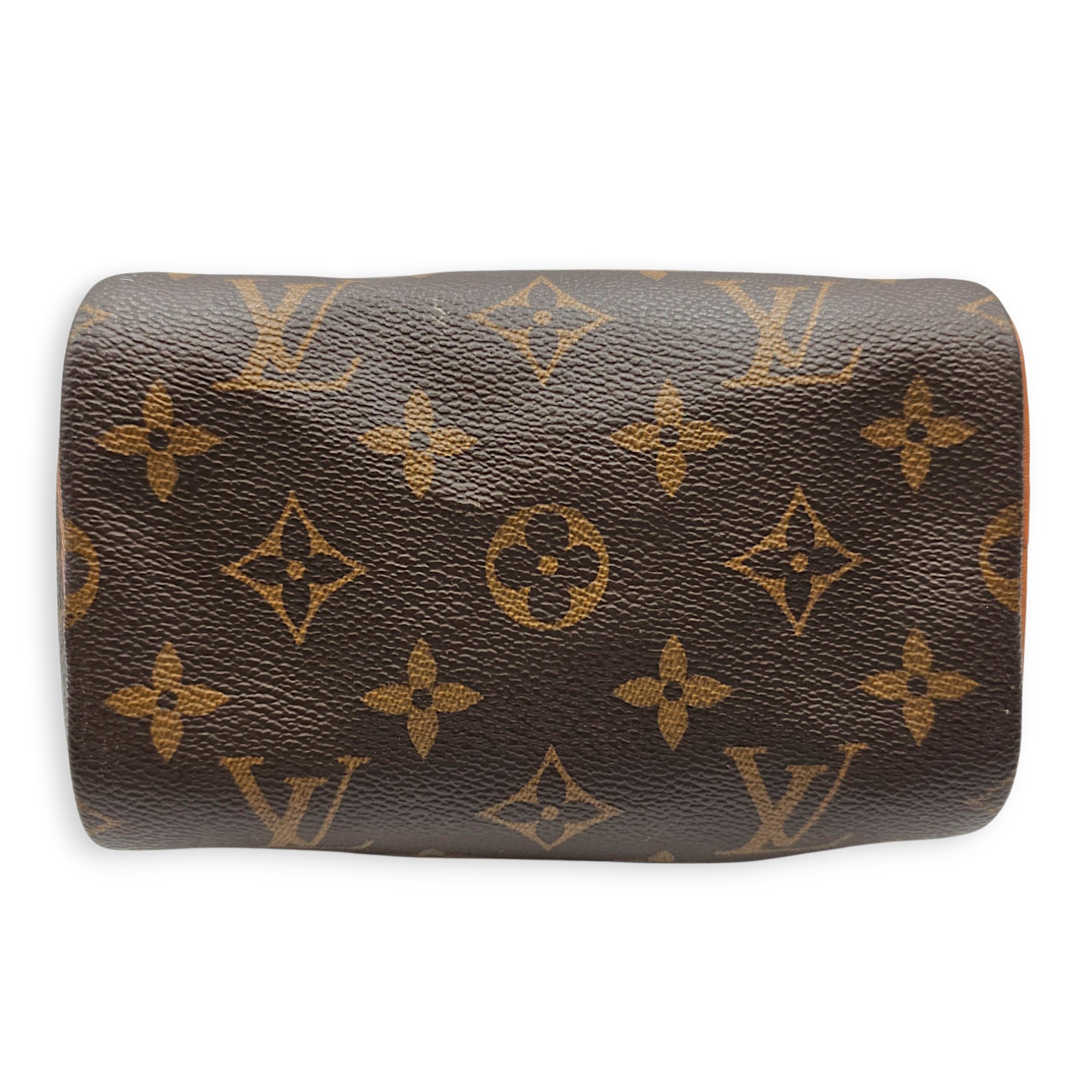 Speedy Nano Brown Crossbody Bag in Canvas Gold hardware
