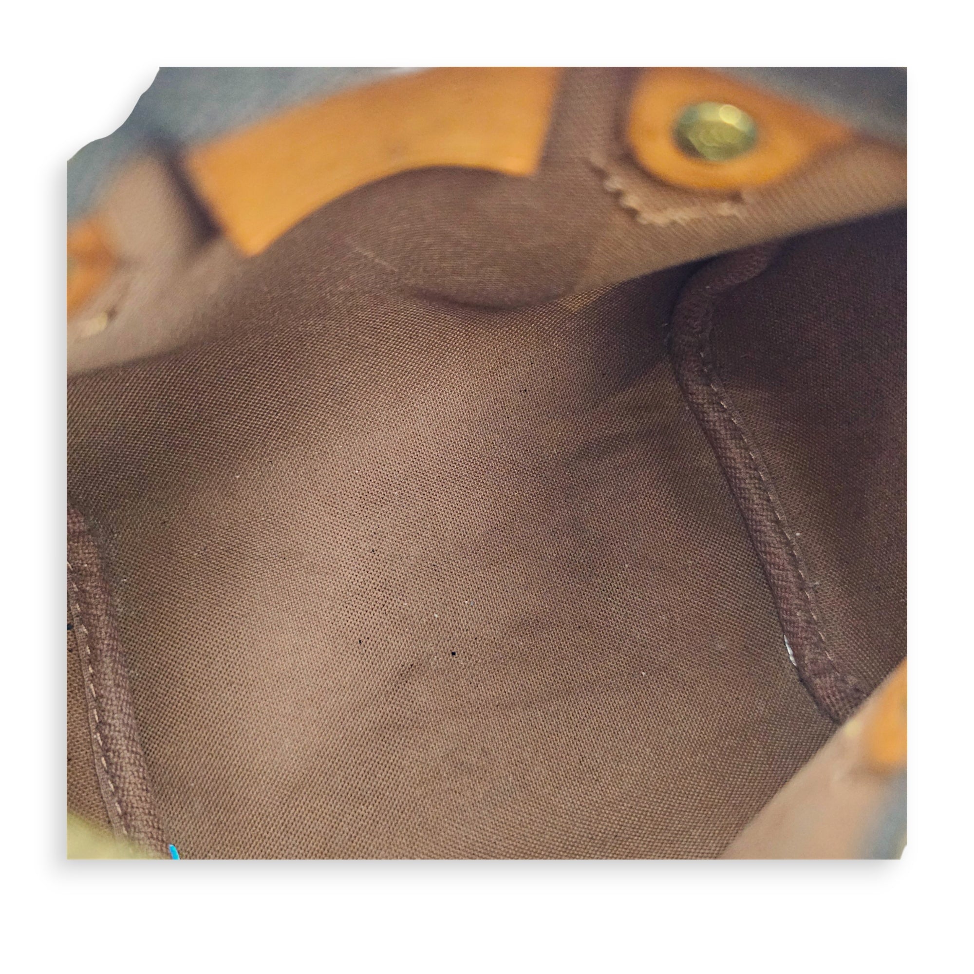 Speedy Nano Brown Crossbody Bag in Canvas Gold hardware