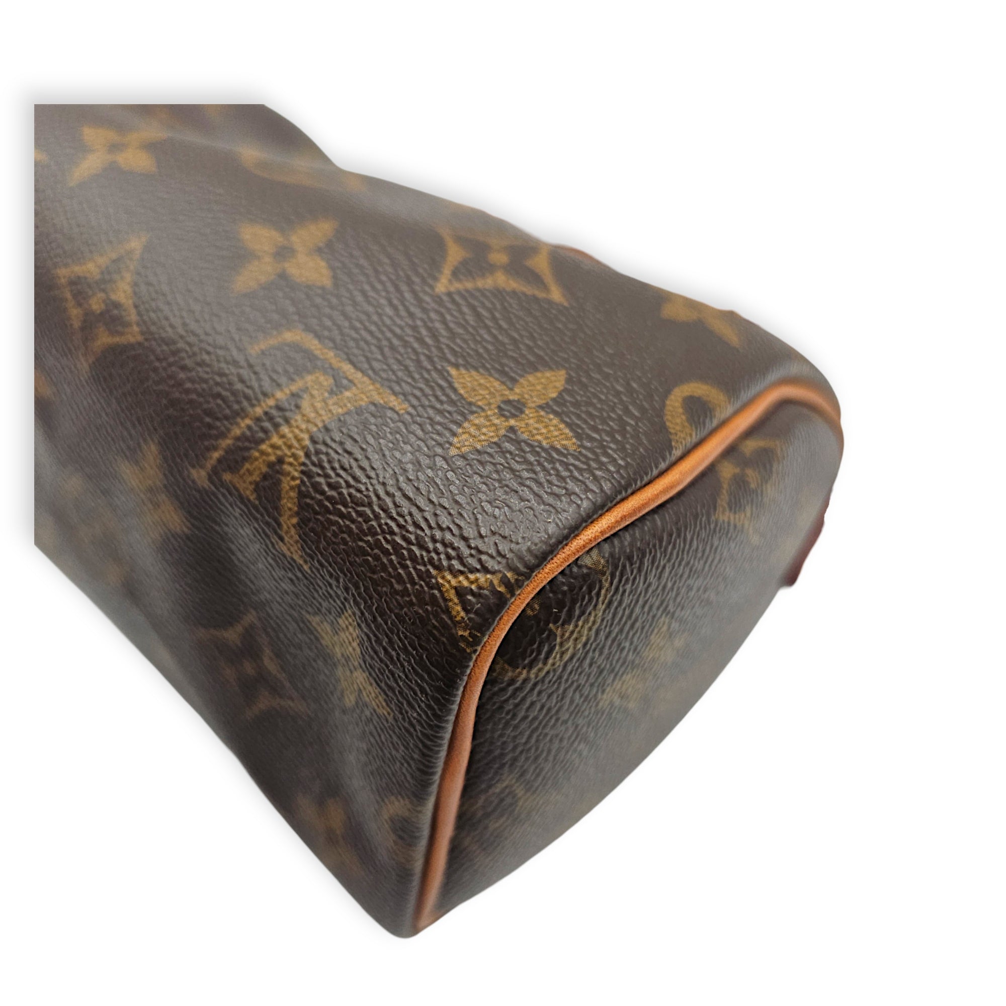 Speedy Nano Brown Crossbody Bag in Canvas Gold hardware