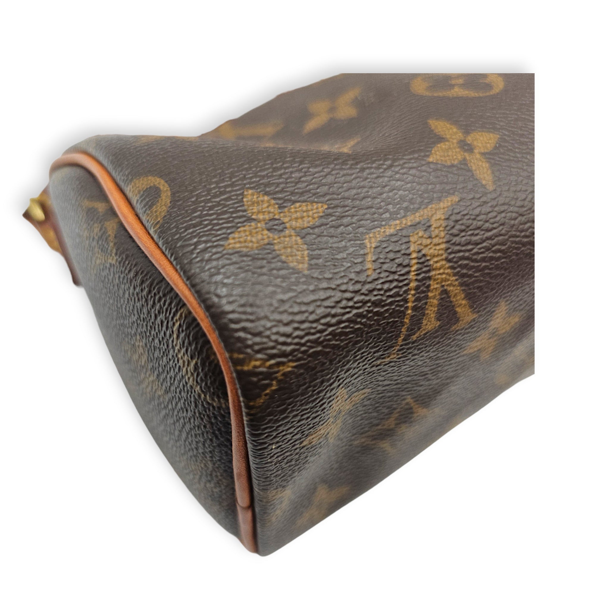 Speedy Nano Brown Crossbody Bag in Canvas Gold hardware