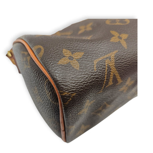 Speedy Nano Brown Crossbody Bag in Canvas Gold hardware