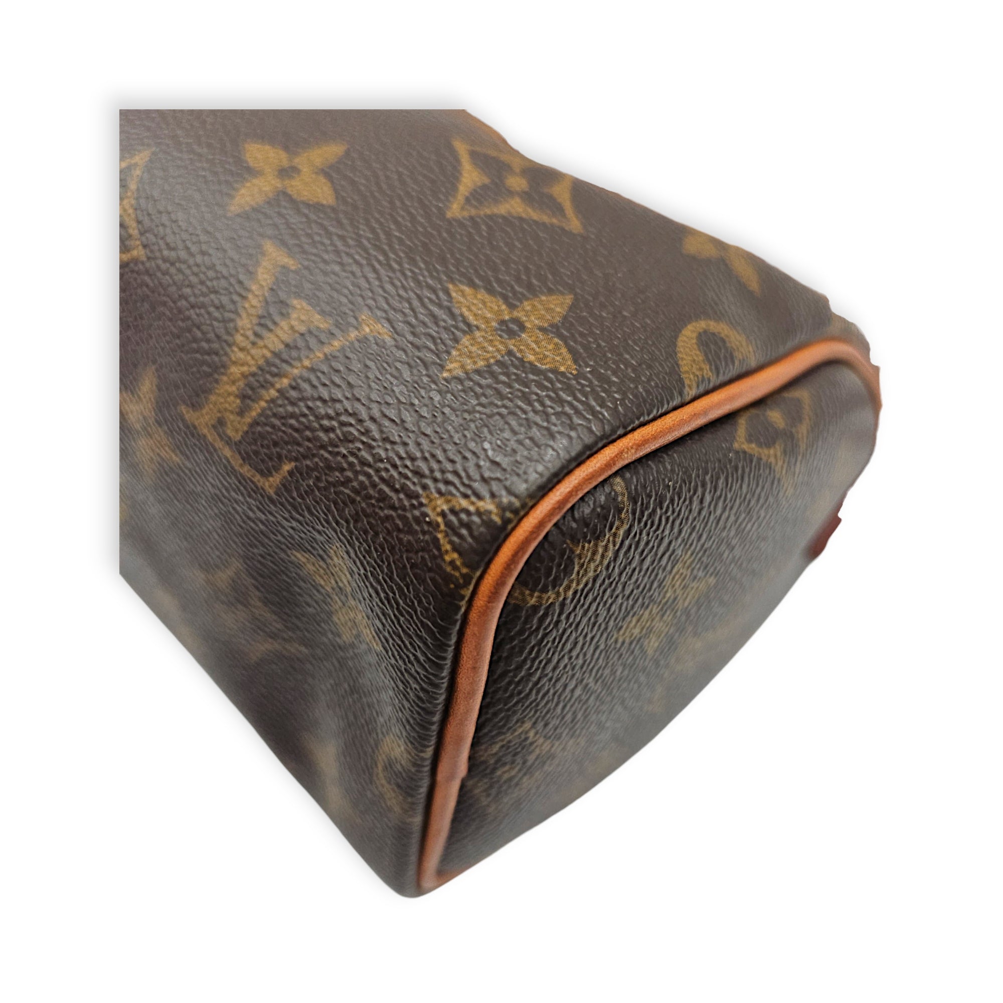Speedy Nano Brown Crossbody Bag in Canvas Gold hardware