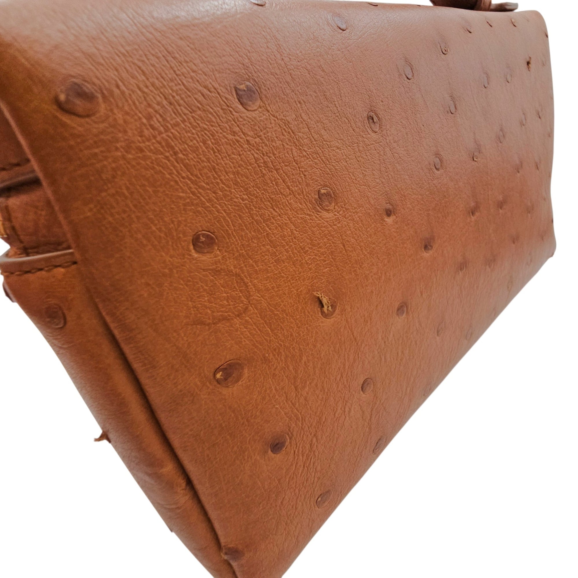 Extra Pocket L19 Brown Crossbody Bag in Ostrich Gold hardware