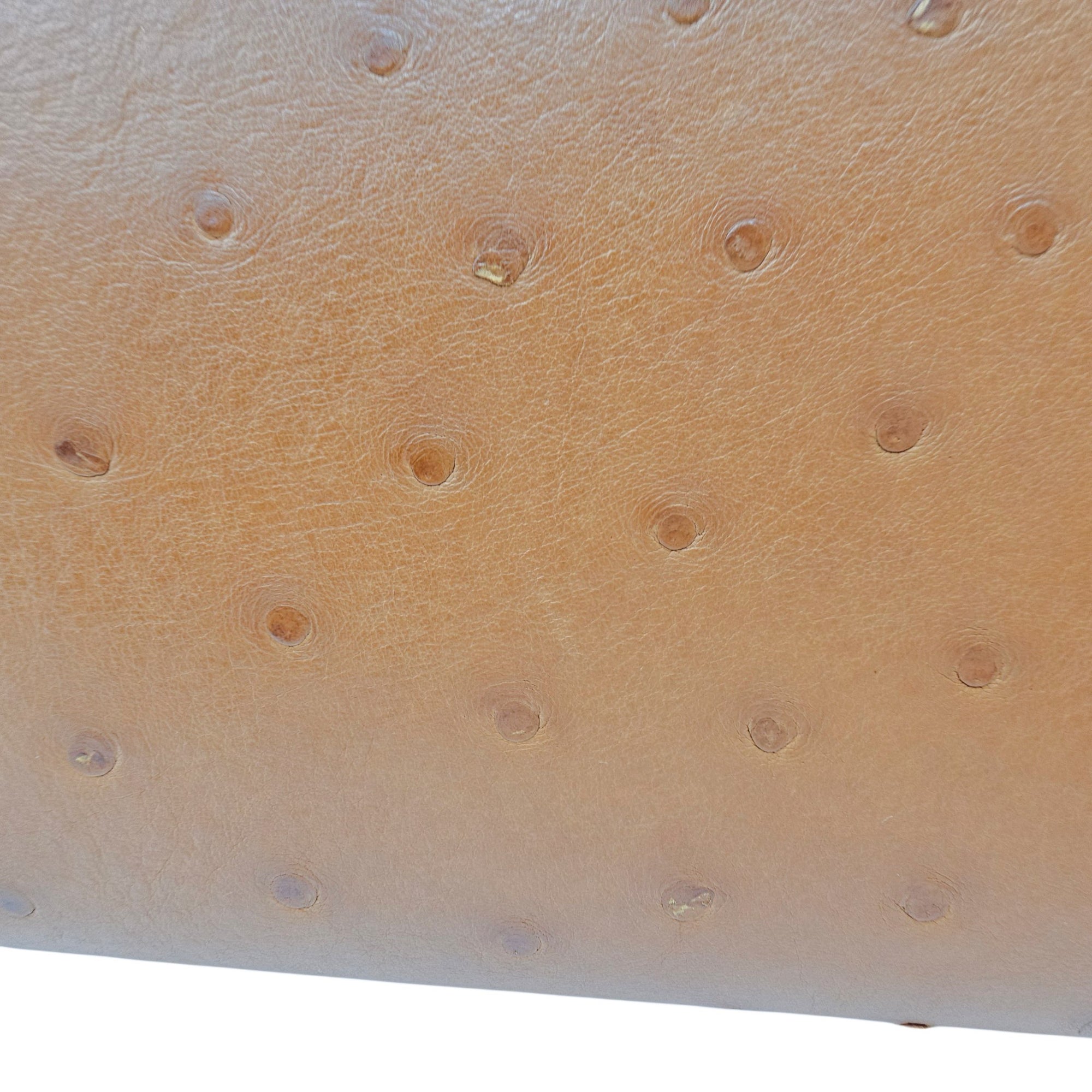Extra Pocket L19 Brown Crossbody Bag in Ostrich Gold hardware