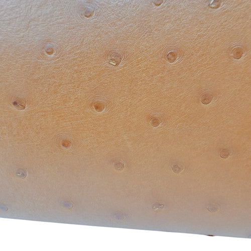 Extra Pocket L19 Brown Crossbody Bag in Ostrich Gold hardware